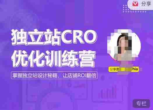 独立站CRO优化训练营，掌握独立站设计秘籍，打造高转化的独立站，让店铺ROI翻倍