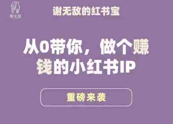 谢无敌·小红书运营大宝典，从0带你做个赚钱的小红书IP