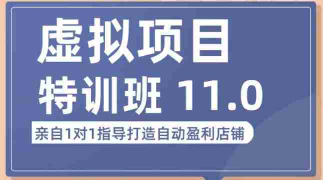 陆明明·虚拟项目特训班（10.0+11.0），0成本获取虚拟素材，0基础打造自动盈利店铺