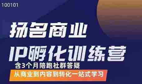 王扬名·商业IP孵化训练营，从商业到内容到转化一站式学习