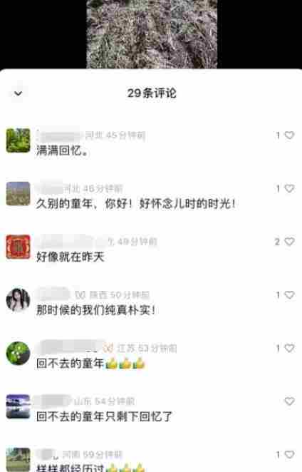 黄岛主副业孵化营第6期：80/90后童年时光怀旧短视频项目