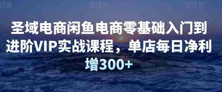 圣域电商闲鱼电商零基础入门到进阶VIP实战课程，单店每日净利增300+