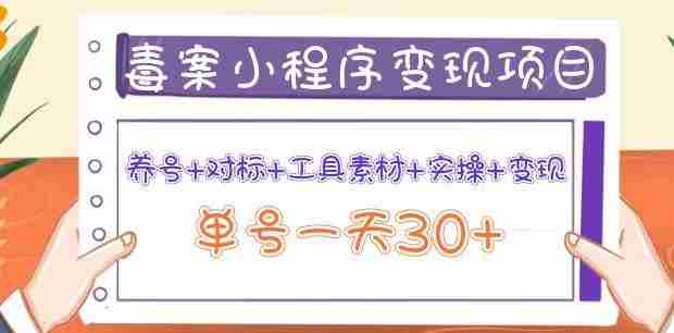 森罗万项毒案小程序变现项目：养号+对标+工具素材+实操+变现，单号一天30+