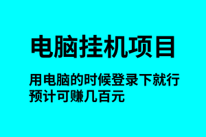 电脑挂机项目，用电脑的时候登录下就行，预计可赚几百元