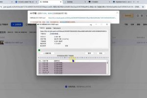 全网盘解限速、非客户端下载通杀【教程与软件】