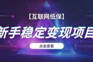 适合新手操作的低保项目合集（持续更新）
