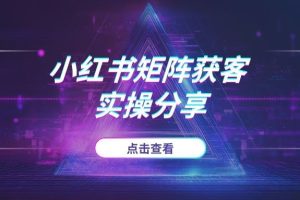2025小红书矩阵获客新策略：多账号布局，实现低成本精准引流 (实操分享)