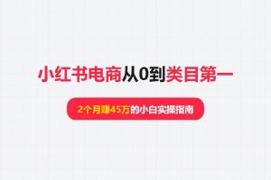 小红书电商从0到类目第一：2个月赚45万的小白实操指南