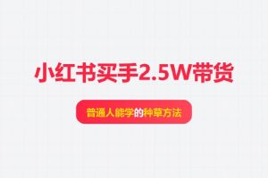 小红书买手2.5W带货：普通人能学的种草方法